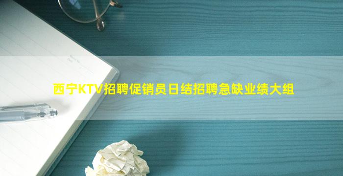 西宁KTV招聘促销员日结招聘急缺业绩大组